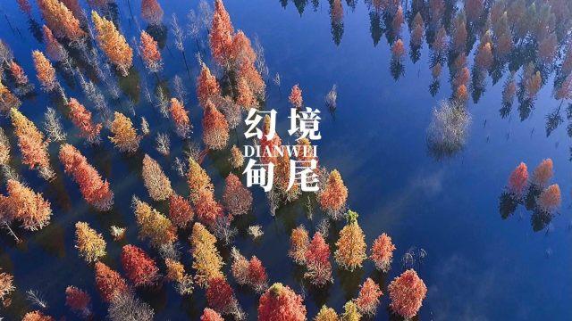 光之子