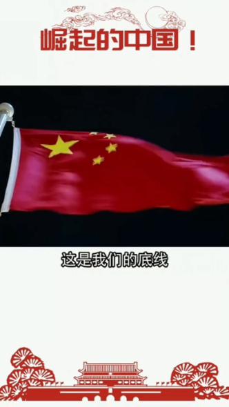 动物狂欢夜